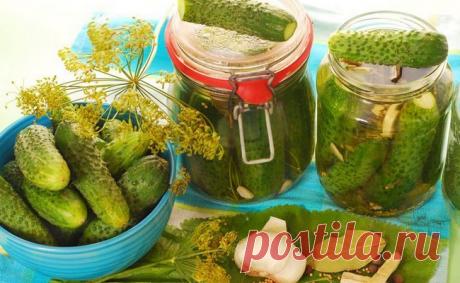 Малосольные огурцы с яблоками быстрого приготовления дома Малосольные огурцы с яблоками можно приготовить по этому простому рецепту. Длительность засолки - одна ночь. Вкусные, хрустящие, ароматные