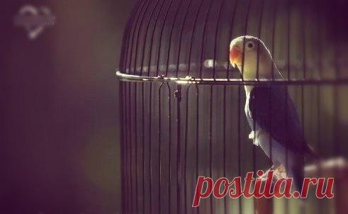 Людмила Власова