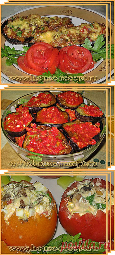 Приготовление овощных закусок. Рецепты закусок из овощей с фото и описанием приготовления.