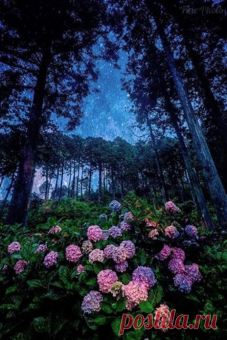 i (470×704)