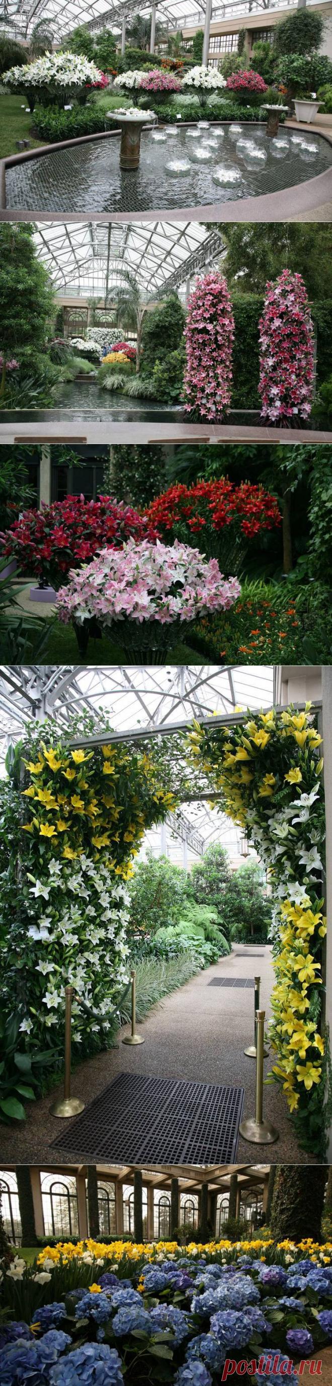 Оранжереи в садах Лонгвуда(Longwood Gardens),Пенсильвания.