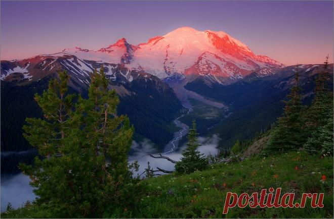 h-2960.jpg (920×605)