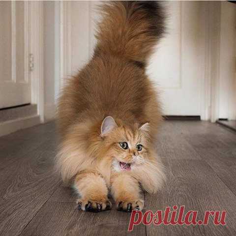 (2) Ирина Марзабекова поделилась фото Живая Земля. - Ирина Марзабекова