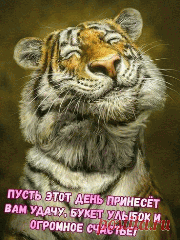 Открытка Пусть этот день принесёт вам удачу, букет улыбок и огромное счастье!