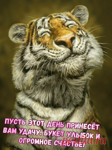Открытка Пусть этот день принесёт вам удачу, букет улыбок и огромное счастье!