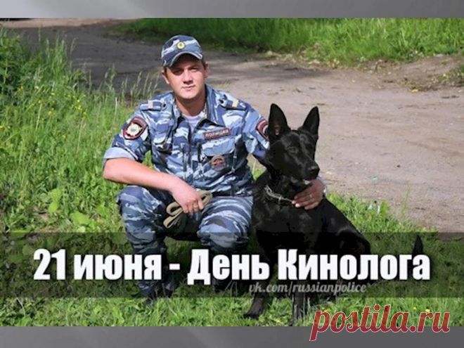 Про собак вам
Все известно,
Вам с собакой
Интересно.
Вы — кинологи
Спецы,
И ребята —
Молодцы!