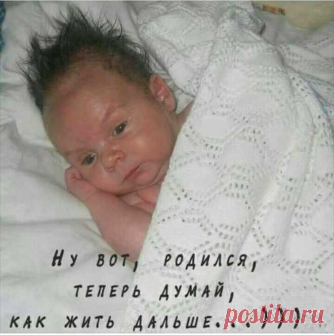 Одноклассники