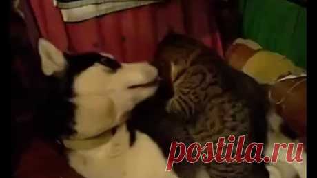 Вам сообщение!