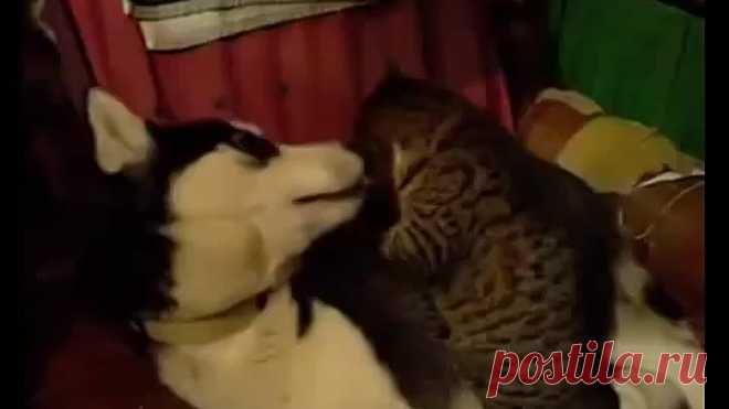 Вам сообщение!