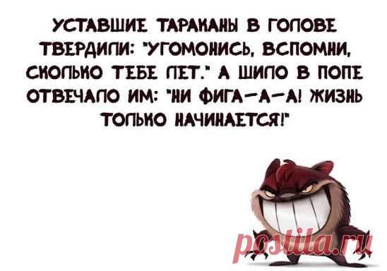(46) Одноклассники