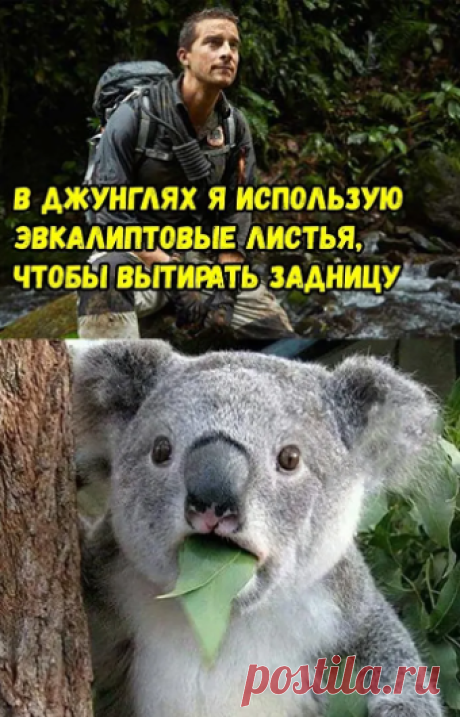 Юмор