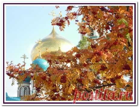 Рябина