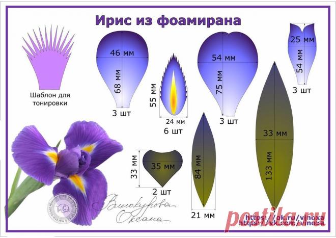 🌹Мастер-классы|Фоамиран|Товары для флористики🌹