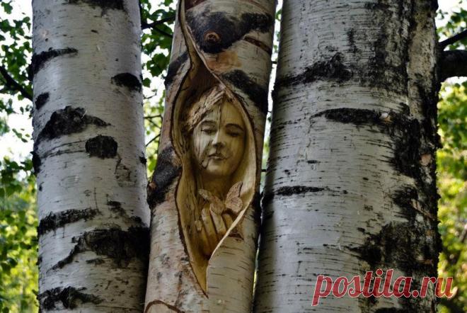 PoQ9JHcd1KM.jpg (807×540)