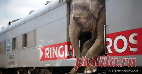 12 самых эмоциональных фотографий 2016 года