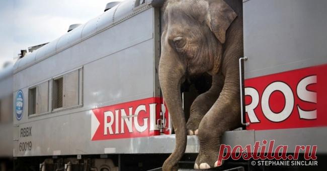 12 самых эмоциональных фотографий 2016 года