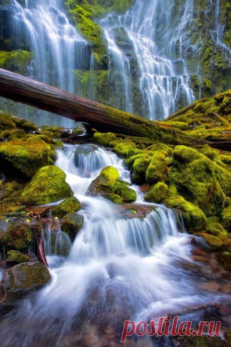 valentin yurinov – Google+