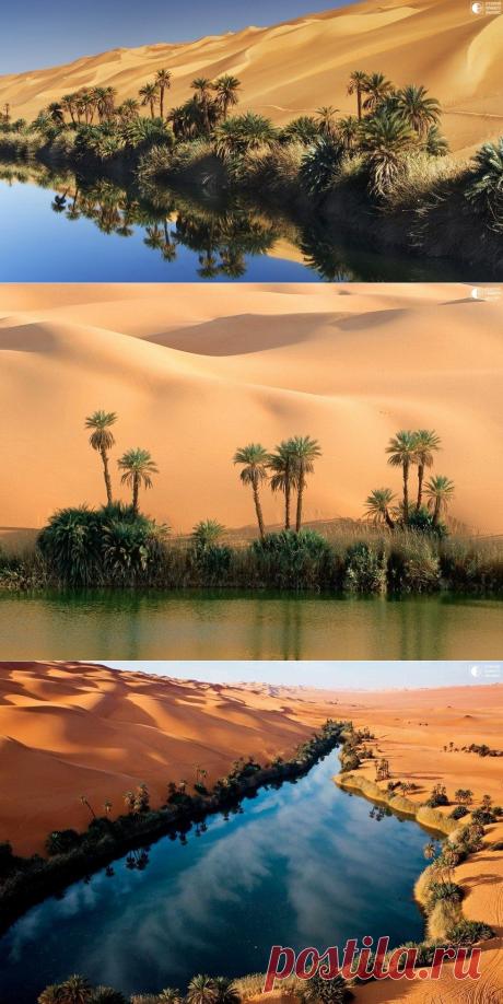 Озера Убари - сказочный оазис в африканской пустыне