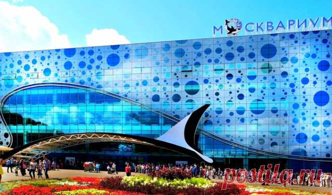 В Москве открылся Центр океанографии и морской биологии "Москвариум".