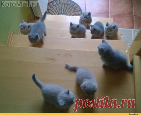 Единомышленники:)