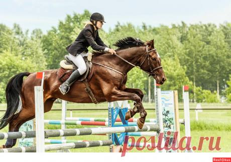 Фото: Конкур. Фотограф Сан Саныч. Спорт - Фотосайт Расфокус.ру