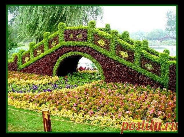 Валентина Тихенко