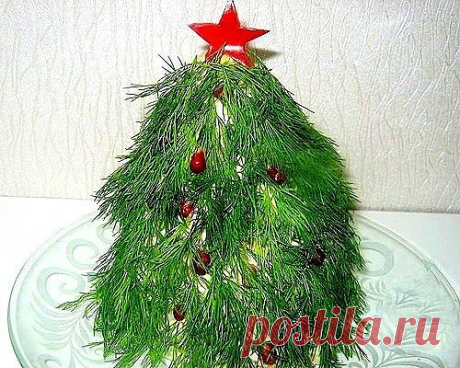 Лесные доноры и вампиры
Доказано, что длительные лесные прогулки действуют на наш организм лучше любого лекарства.