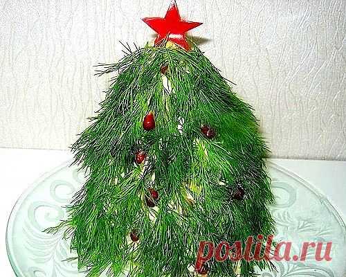 Лесные доноры и вампиры
Доказано, что длительные лесные прогулки действуют на наш организм лучше любого лекарства.