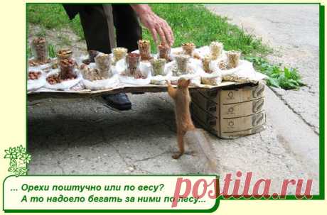 Хорошего Вам настроения.