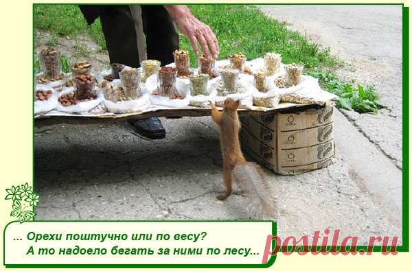 Хорошего Вам настроения.