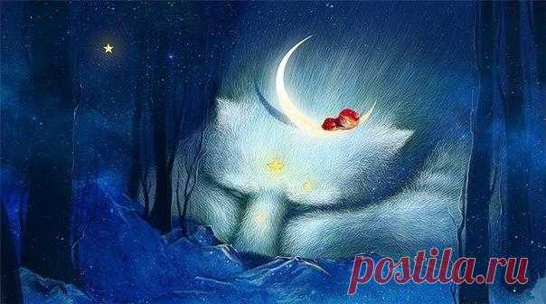 #кошачьи_подборки@homeofcat 
Доброй ночи
