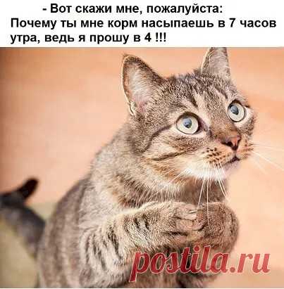 0c1c98c4.jpg (403×411)