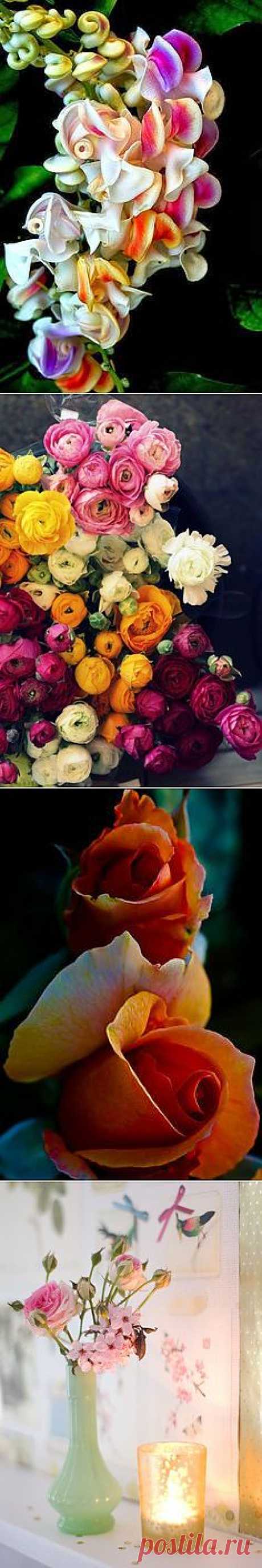 Pinterest