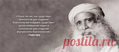Садхгуру | «Внутренняя инженерия»