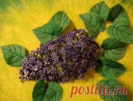 Дневник Златокрылой_рыбки