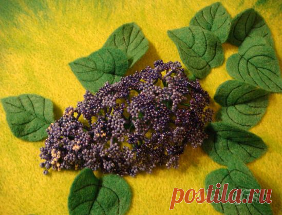 Дневник Златокрылой_рыбки