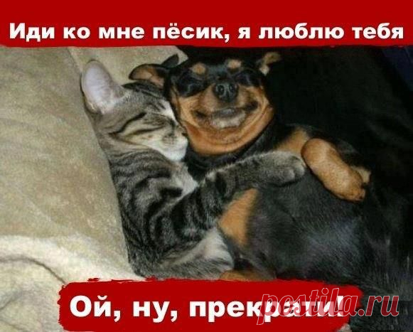 роднули! смотри тут