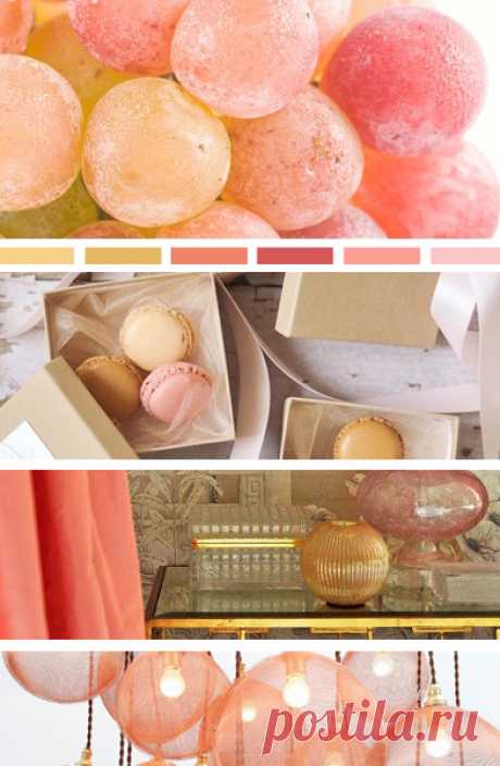 seed; Moodboards