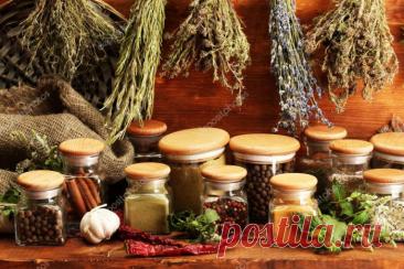 4 согревающие мази при кашле.