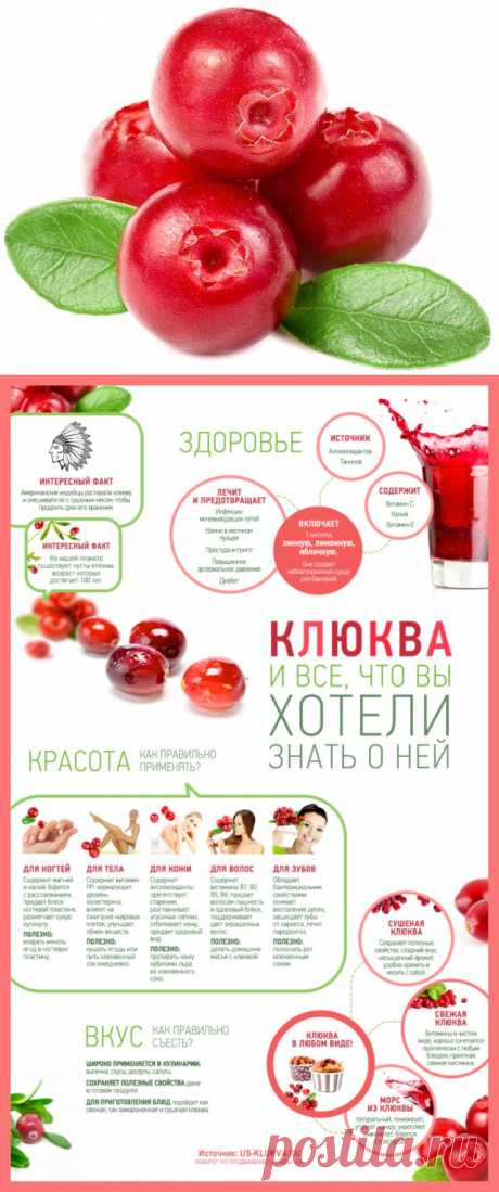Для красоты и здоровья: клюква! / Домоседы