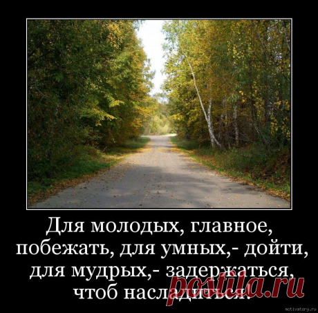 Поспешай медленно...
