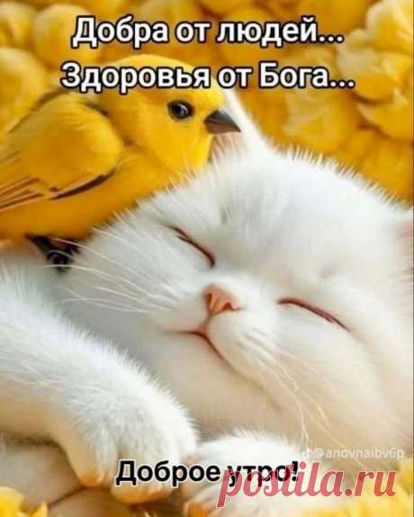 5d5e1d78.jpg (733×916)