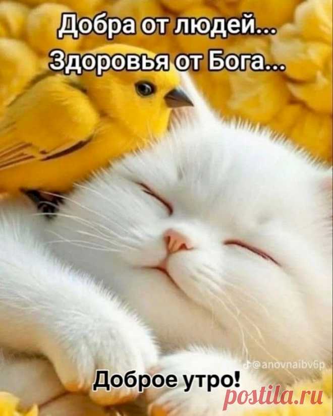 5d5e1d78.jpg (733×916)