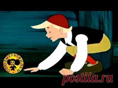 Сказки : Заколдованный мальчик (Нильс и гуси).