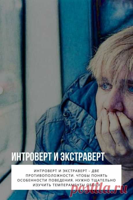 Интроверт и экстраверт. Интроверт – это только один из двух известных типов личности. Его часто принимают за нелюдима, который не интересуется происходящим вокруг. Ему свойственно много думать, анализировать, размышлять. Но погруженность в себя отнюдь не означает выраженного недружелюбия. Такая отчужденность необходима, чтобы сохранить внутреннюю гармонию. Интроверты часто сталкиваются с тем, что окружающие стараются изменить их взгляды на мир, даже подтолкнуть к нужным действиям. Этого делать н