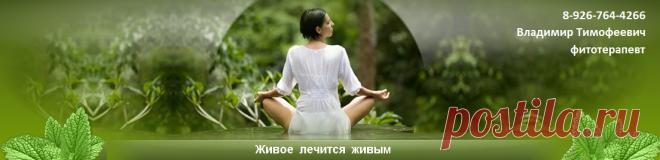 Витамины и растения для мозга - IQ-комплекс