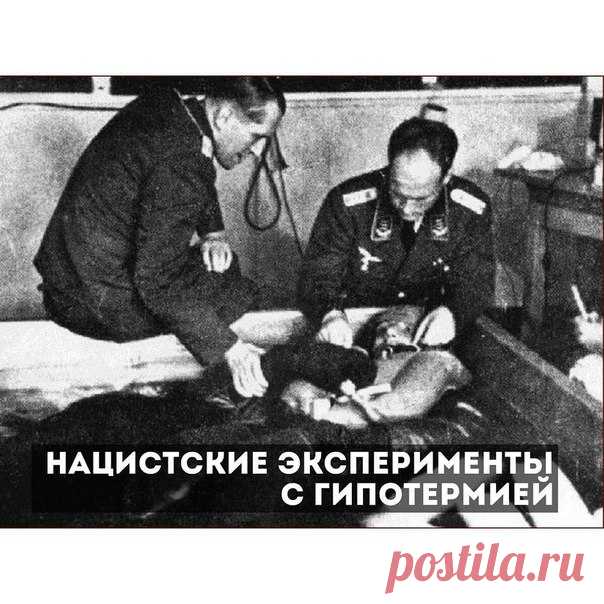 Нацистские эксперименты с гипотермией / История цивилизаций!