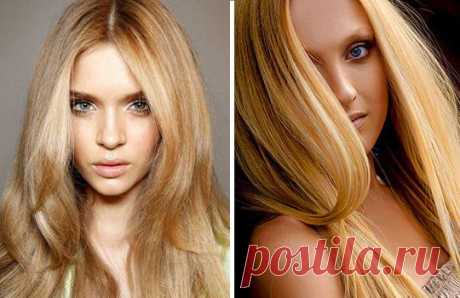 Модный цвет волос 2015: окрашивание, оттенки, техника, фото