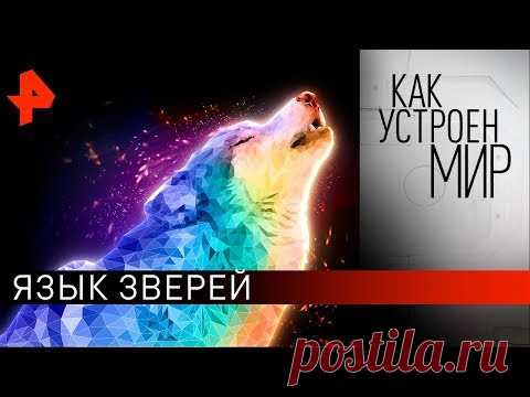 Язык зверей. 