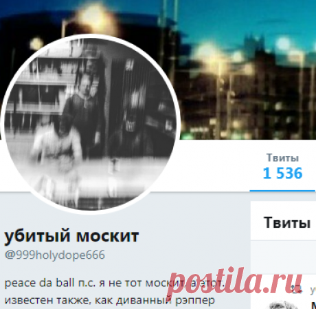 (1) убитый москит (@999holydope666) | Твиттер